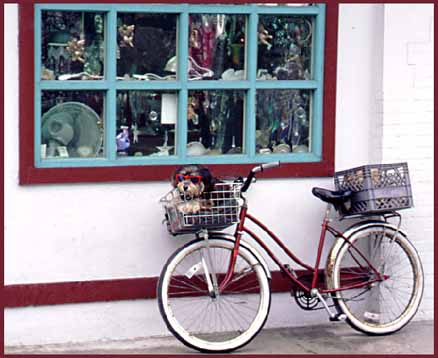 photo of a dog on a bicycle basket