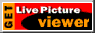 Get Windows 95 Live Picture Plug-In